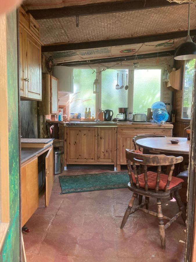 Bungalow Biberspur Zieko Екстер'єр фото