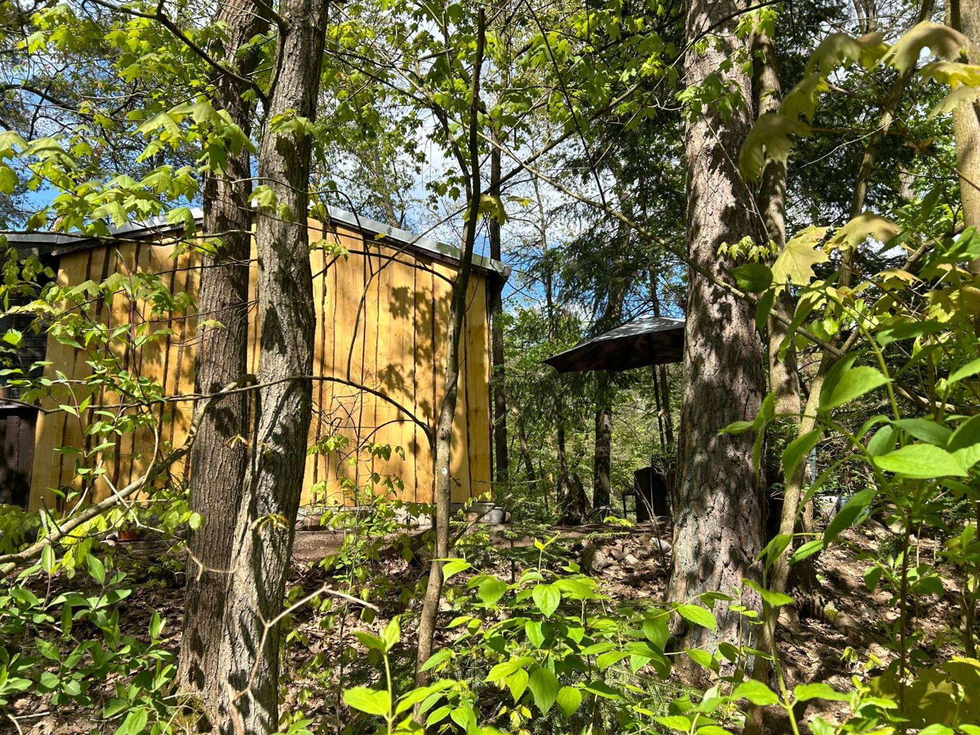 Bungalow Biberspur Zieko Екстер'єр фото